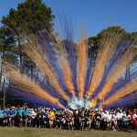 Résultats du week-end 29-30 novembre